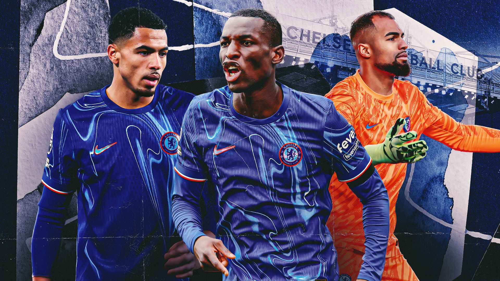 育的发展 育的发展